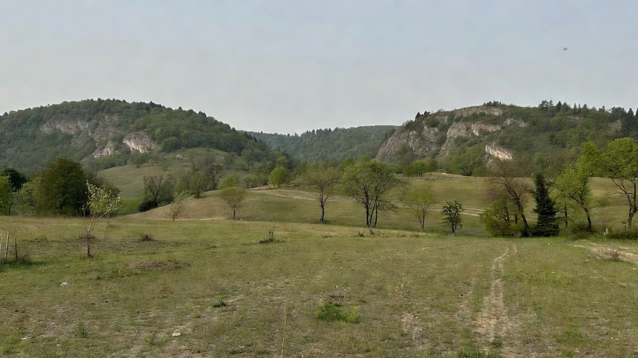 Śląsk ma 70 rezerwatów. Jura zyskała 220 ha ochrony