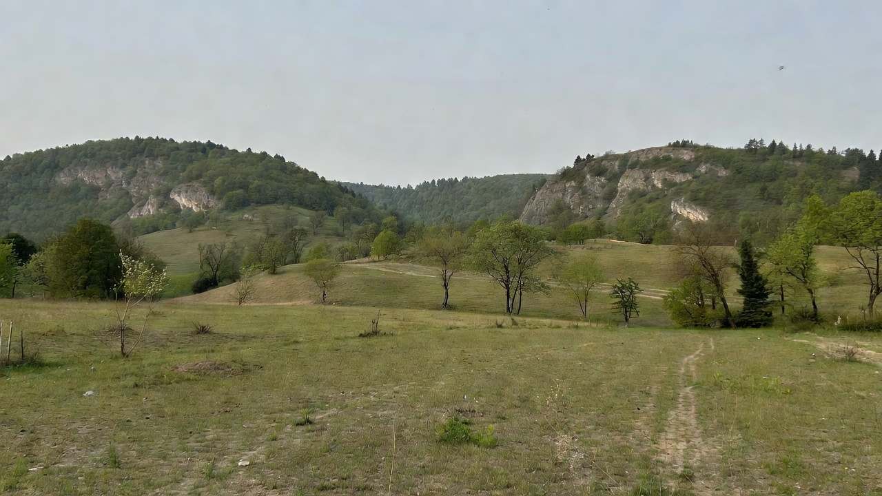 Śląsk ma 70 rezerwatów. Jura zyskała 220 ha ochrony