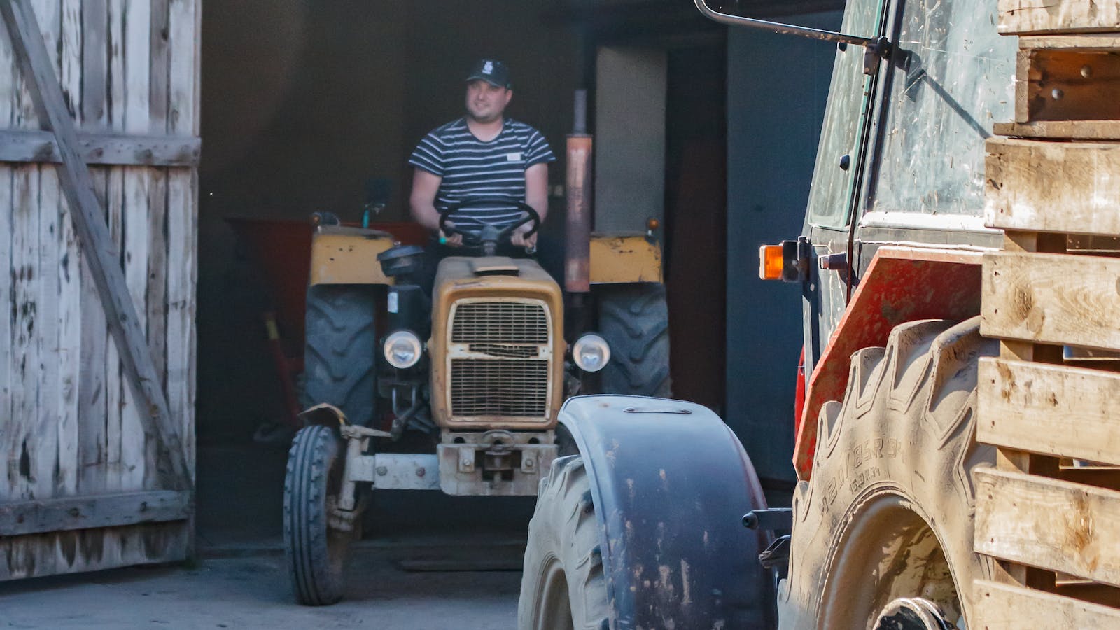 Rolnik prowadzący ciągnik na podwórzu polskiego gospodarstwa