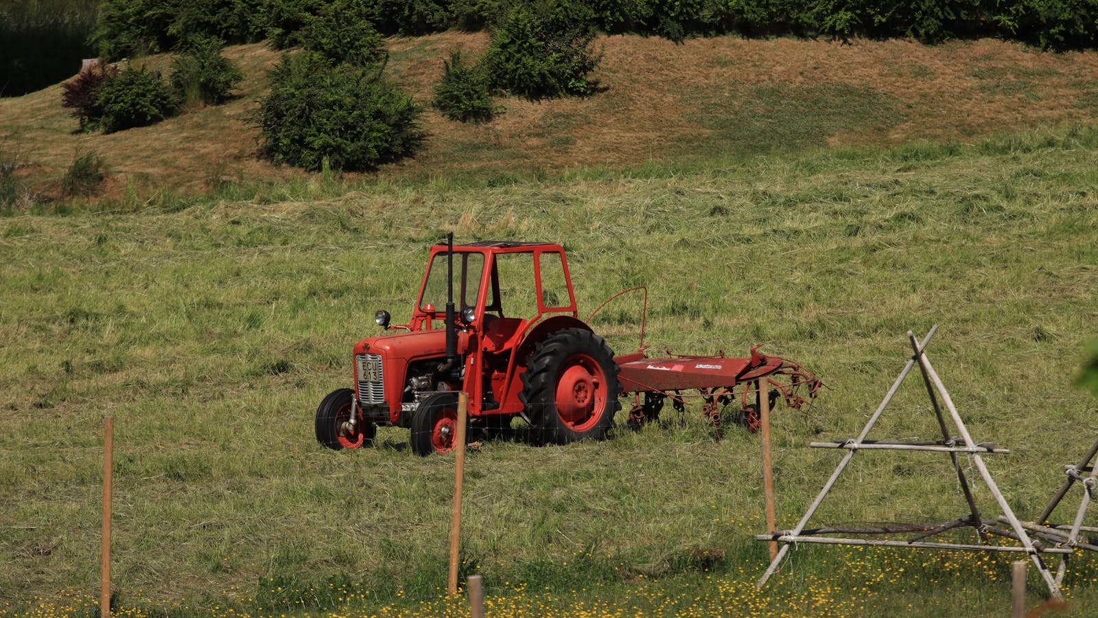 Czerwony ciągnik z agregatem rolniczym na łące w okresie sianokosów